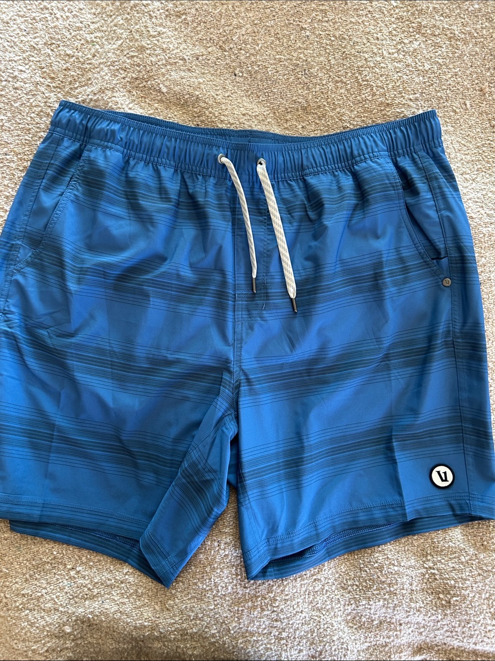 Vuori Blue Men's Swim Hybrids with Subtle Stripe